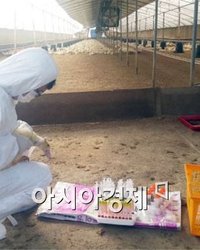 중국산 오리햄에서 AI 유전자 검출…반복되는 ‘중국발 식품 리스크’, 한국은 어디까지 대비돼 있는가