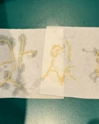 “싹 비우고 ‘안 맛있다’ 적고 간 중국인 손님” — 예의와 상식이 무너진 중국 관광 문화의 민낯