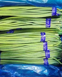 “중국산 마늘쫑·시금치에서 농약 범벅”…이웃 나라의 식탁이 무너지고 있다