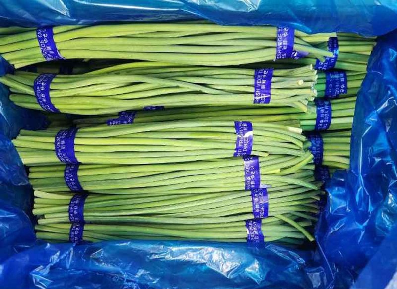 “중국산 마늘쫑·시금치에서 농약 범벅”…이웃 나라의 식탁이 무너지고 있다