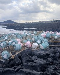 제주 해안을 뒤덮은 해양쓰레기, 국경을 넘는 중국발 오염이 던지는 경고