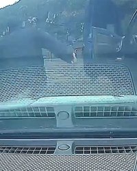 202603201059335046_l