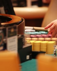 “게임 조작 의혹” 제주 카지노 집단 난동 사건이 던지는 경고…중국인 단체 폭력과 한국 사회의 안전 과제