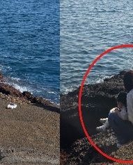 관광객인가, 무질서의 수출인가 — 반복되는 중국인 관광객의 일탈, 한국 사회가 지켜야 할 선