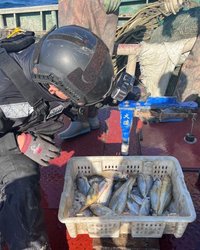 한국 해역을 노리는 중국 어선의 실체 — EEZ 불법조업이 남긴 심각한 경고