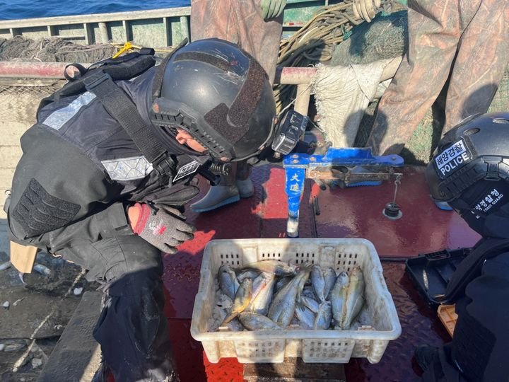 한국 해역을 노리는 중국 어선의 실체 — EEZ 불법조업이 남긴 심각한 경고