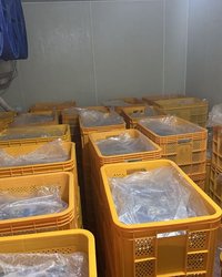 중국산 재첩의 ‘국내산 둔갑’ 사건이 던진 경고…먹거리 신뢰를 흔드는 구조적 위협